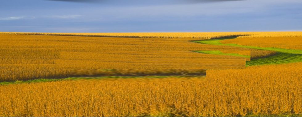 Grain Trading